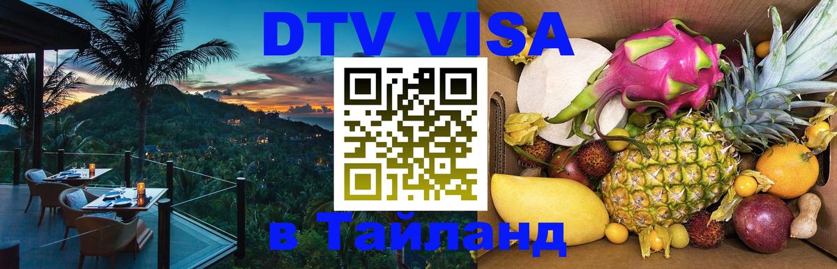 Сколько стоит DTV виза — актуальные цены, оформление даже без документов - 09.01.2026 